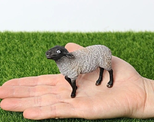 Suffolk pecora animale - pecora,