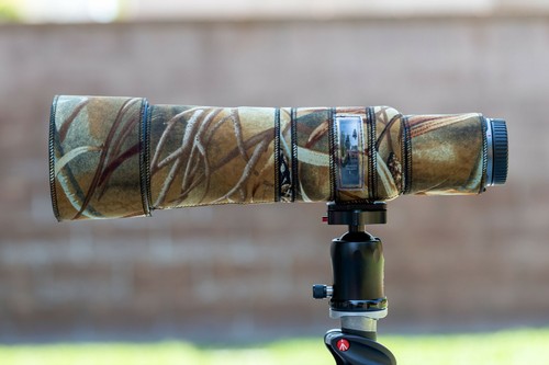 Canon 800 f11 - rf,