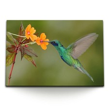 Quadro tela 120x80 fiore - su,