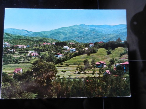 20145 provincia savona - 20145),