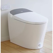 WC Smart Bidet HOROW T03