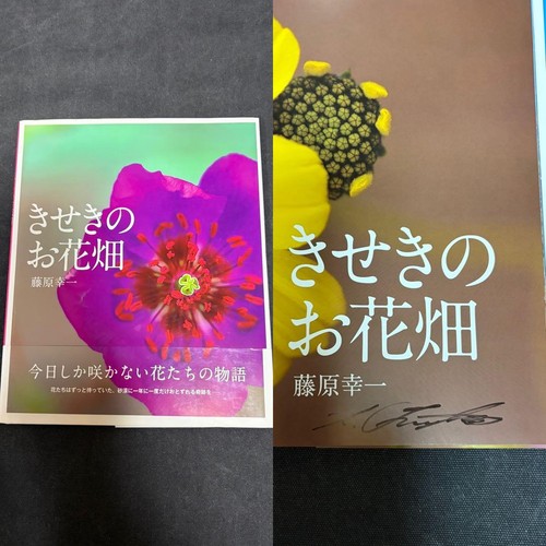 Libro firmato giapponese