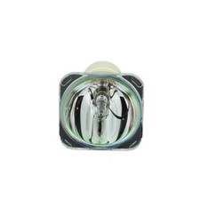 Compatibile con lampadine