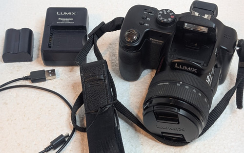 Panasonic lumix dmc fz50 1 - lumix, 10.1
