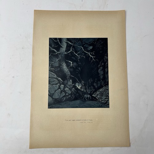 Stampa orlando furioso - stampa,
