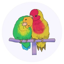 24 adesivi 'Coppia pappagalli'