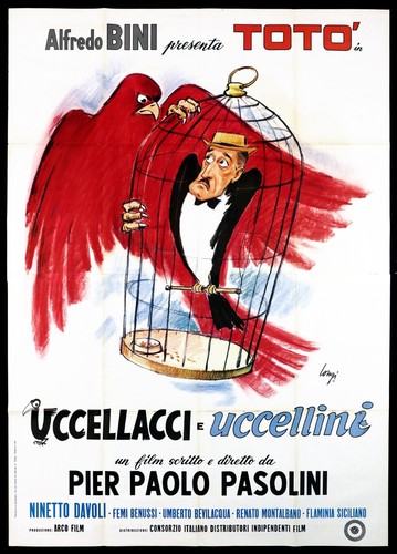 Uccellacci uccellini - uccellacci,