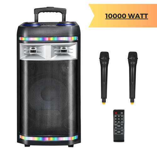 Cassa amplificata karaoke - cassa,