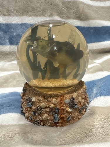 Dylan designs bass fish globo - designs,