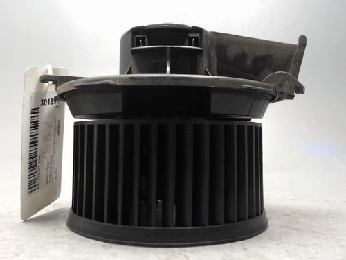 Radiatore del motore - del,