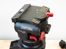 Cartoni Focus 10 testa