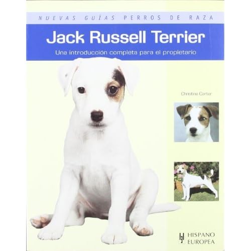 Jack russell terrier nuevas - russell, (nuevas