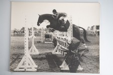 FOTO Analogica	Francia	Cavallo