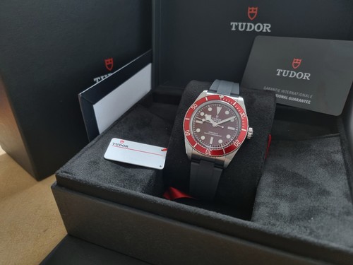 Tudor black bay - bay, 58