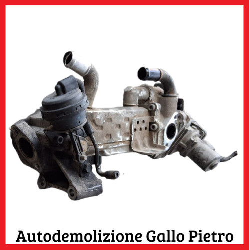 Radiatore valvola egr hyundai - radiatore,