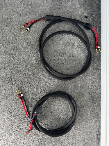 Gauder acustica clearwater - gauder,