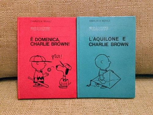 Peanuts aquilone charlie - e,