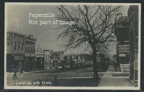 Charter oak rppc c08 dirt - oak,