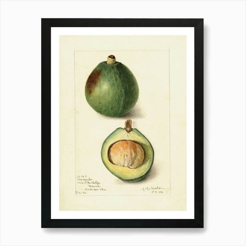 Figs stampa artistica con - 2,