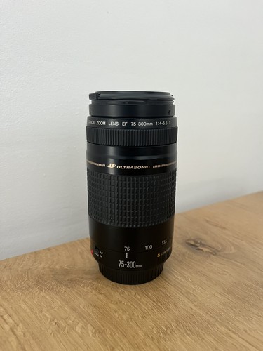 Canon 300mm 5 6 - f/4-5.6, ii
