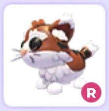 Ride munchkin cat - ride,