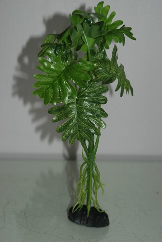 Acquario verde con radici - verde, x