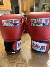 Guantoni da boxe Smash Hit