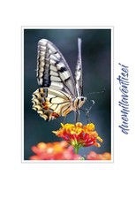 CALENDARIO D'AUTORE 2026 -foto