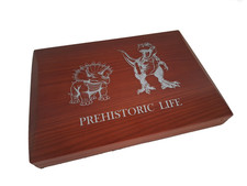 Münzbox/ Scatola/ Box per