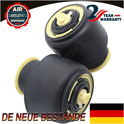Molle pneumatiche posteriori - molle,