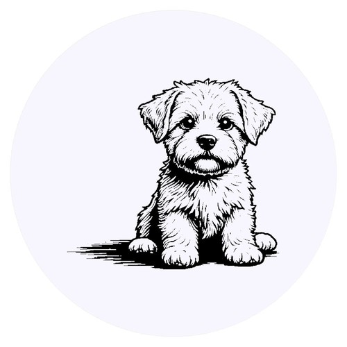 Adesivi maltese cucciolo - x,