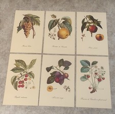 La tavolozza della natura frutti per quadretti disegni