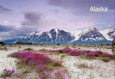 Alaska Alasca foto frigo