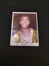 FIGURINA PANINI ALBUM CAMPIONI