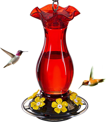 Mangiatoia per colibrì - , da