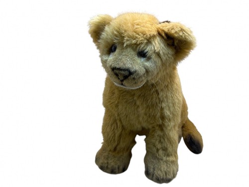 Kösen animale leone cucciolo