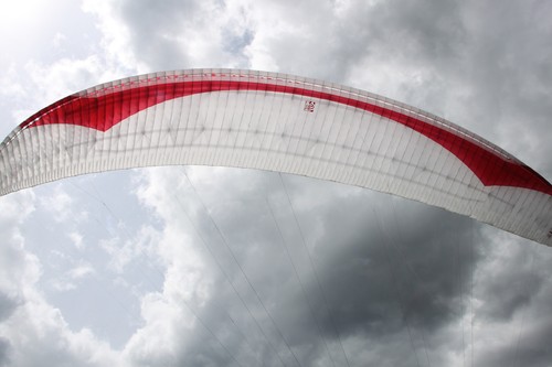 Parapendio gingliders leopard - parapendio,