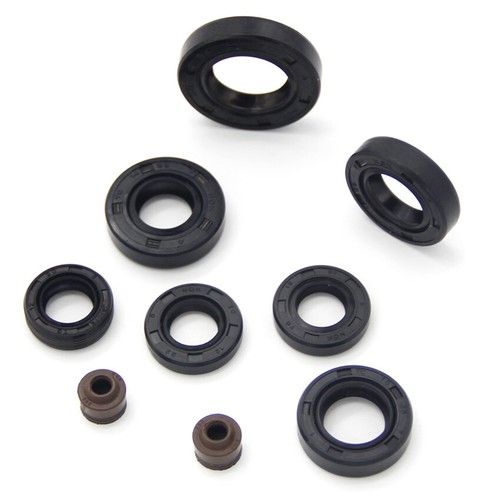 Kit guarnizioni olio motore - guarnizioni,