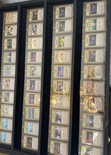 Carte Pokemon Allenatore