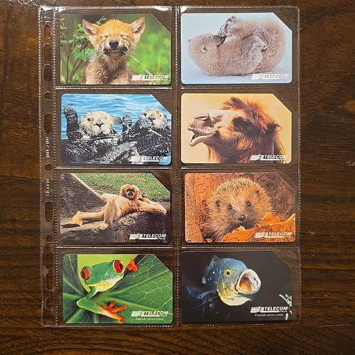 Schede telefoniche animali per - schede,