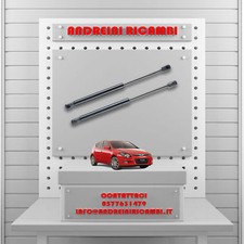 2 MOLLE A GAS BAGAGLIAIO