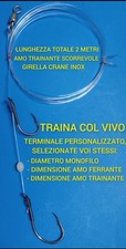 TERMINALE TRAINA COL VIVO PERSONALIZZATO 2 AMI SCORREVOLE PESCA DENTICI RICCIOLE