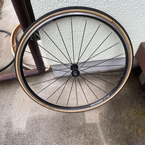 BONTRAGER