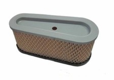 Cartuccia filtro aria rasaerba