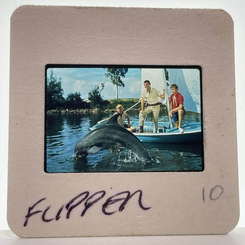 Flipper diapositiva 35mm anni