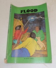 Flood by Neil R Selden