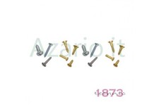 Assortimento 100 viti parker