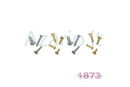 Assortimento 100 viti parker