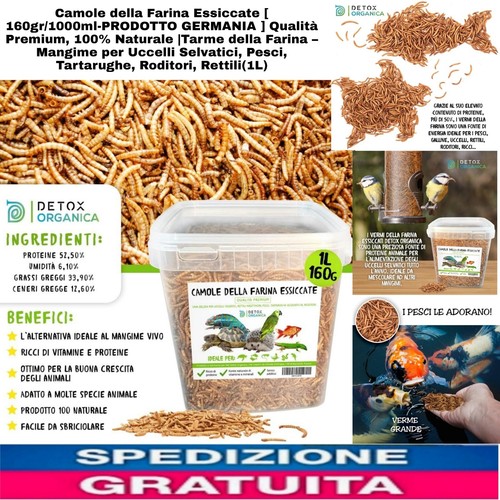 Camole della farina essiccate - farina,