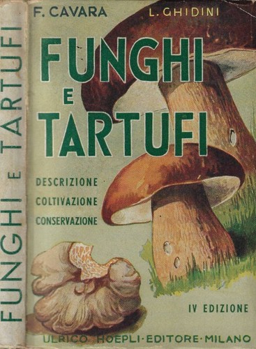 Funghi tartufi descrizione - funghi,